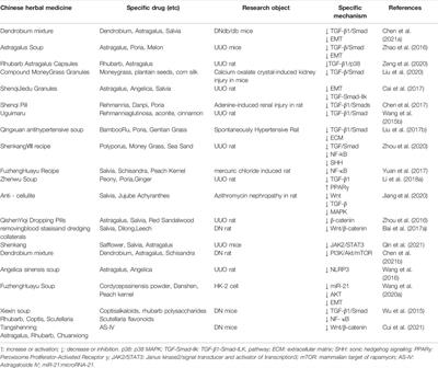 Research Progress of Chinese Herbal Medicine Intervention in Renal Interstitial Fibrosis